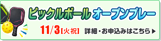ピックルボール　オープンプレイ